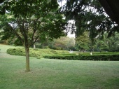 DSC08271.JPG